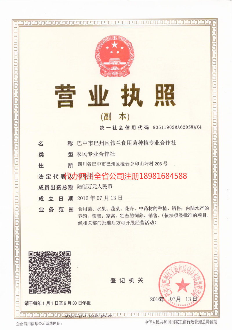 开江开江伟兰食用菌种植专业合作社